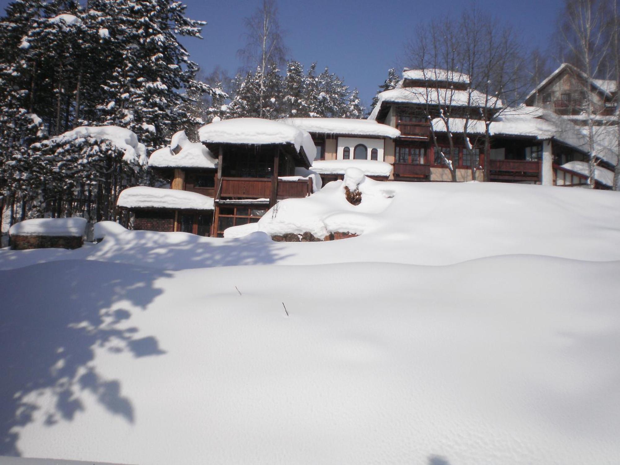 Apartments Carevo Polje ซลาตีบอร์ ภายนอก รูปภาพ