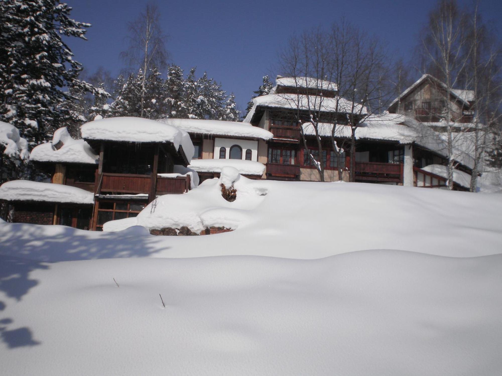 Apartments Carevo Polje ซลาตีบอร์ ภายนอก รูปภาพ